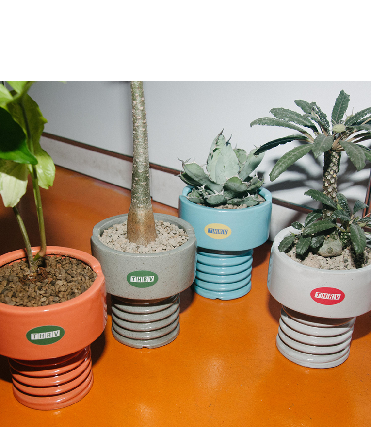 Screw-It Ceramic Pot (Blue)
