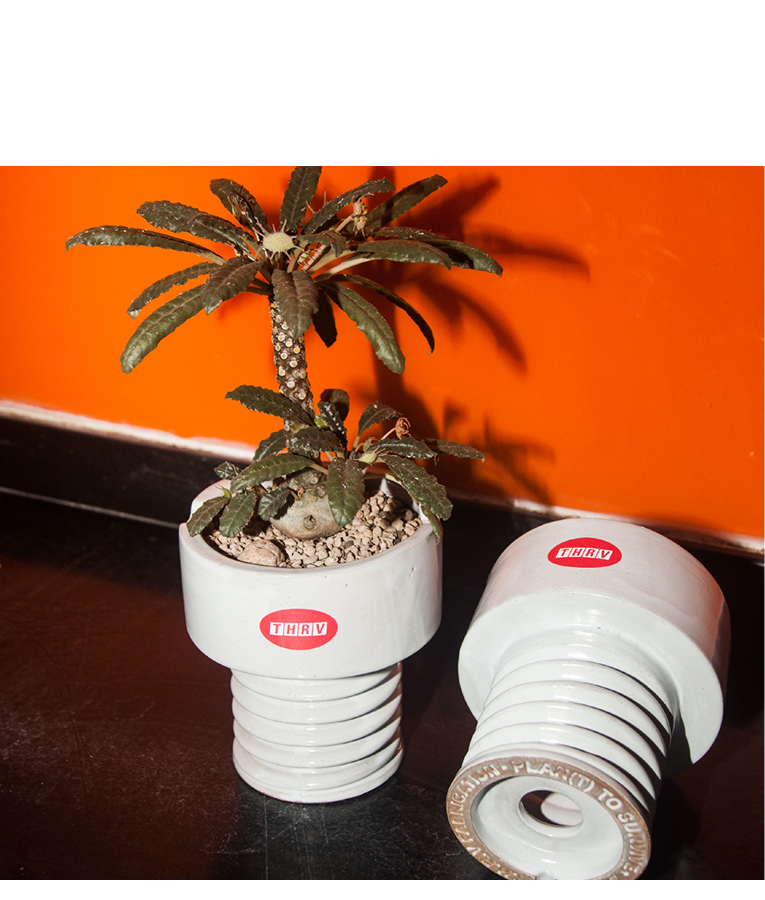 Screw-It Ceramic Pot (White)