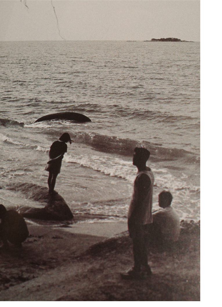 Tiga Mata Issue 3: Tenderness
