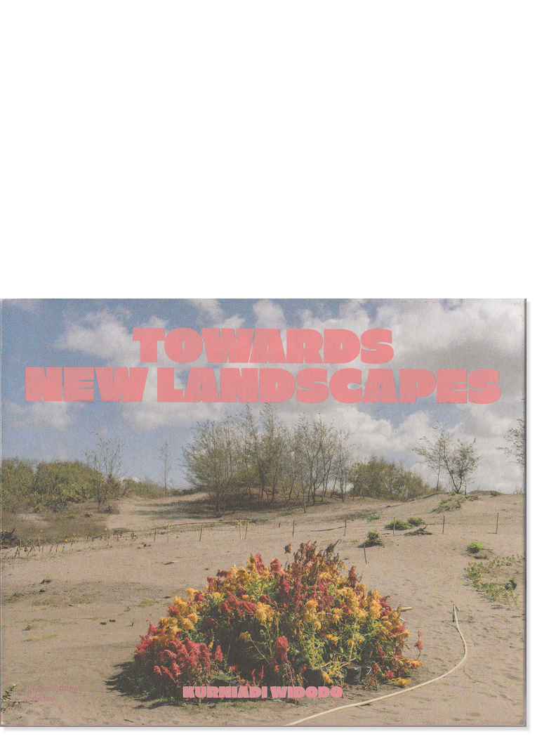 Towards New Landscapes