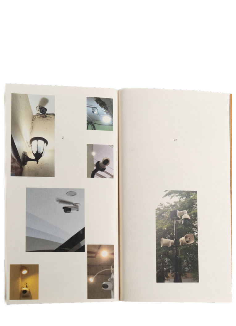 Chronic Concern Towards Voyeuristic Object