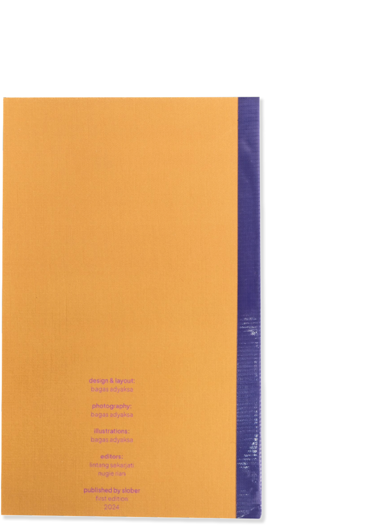 Chronic Concern Towards Voyeuristic Object