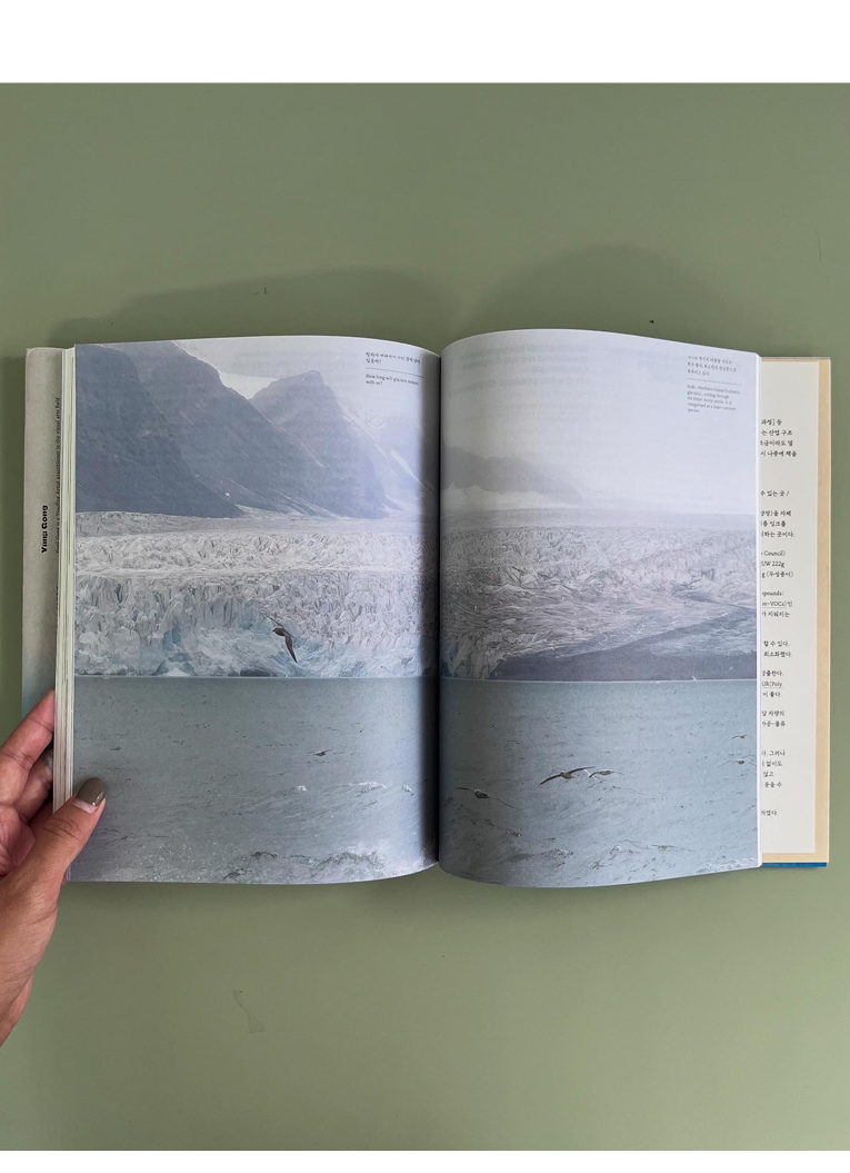 Coexisting with Art in the Era of Climate Crisis: The Language Art of Friendship