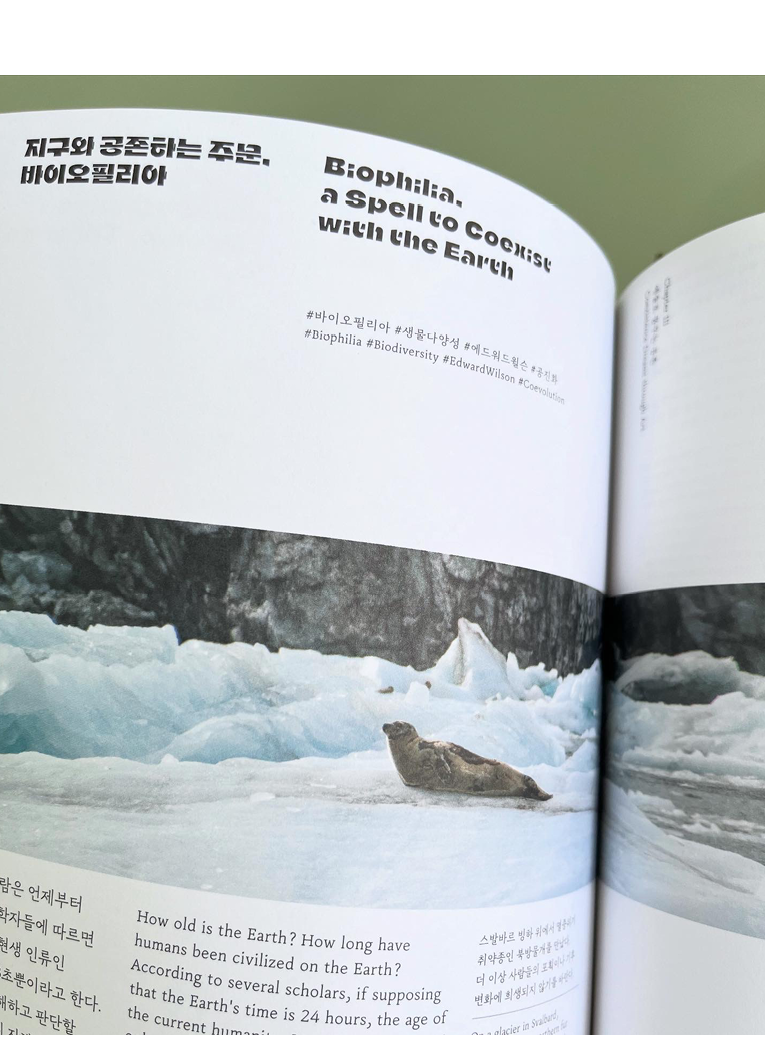 Coexisting with Art in the Era of Climate Crisis: The Language Art of Friendship