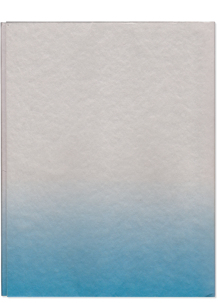 Coexisting with Art in the Era of Climate Crisis: The Language Art of Friendship