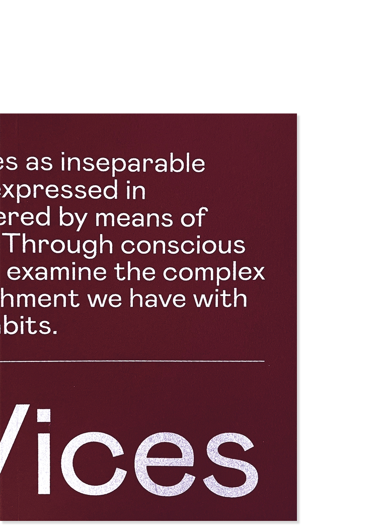 Double Take: On Vices