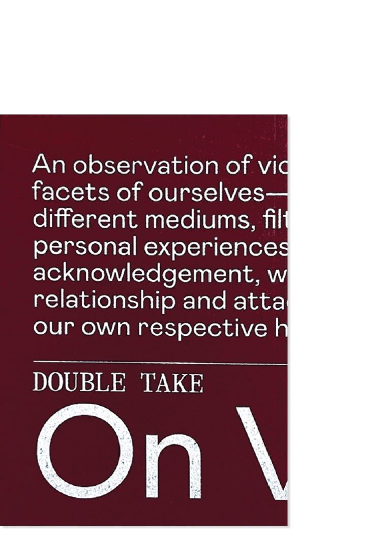 Double Take: On Vices