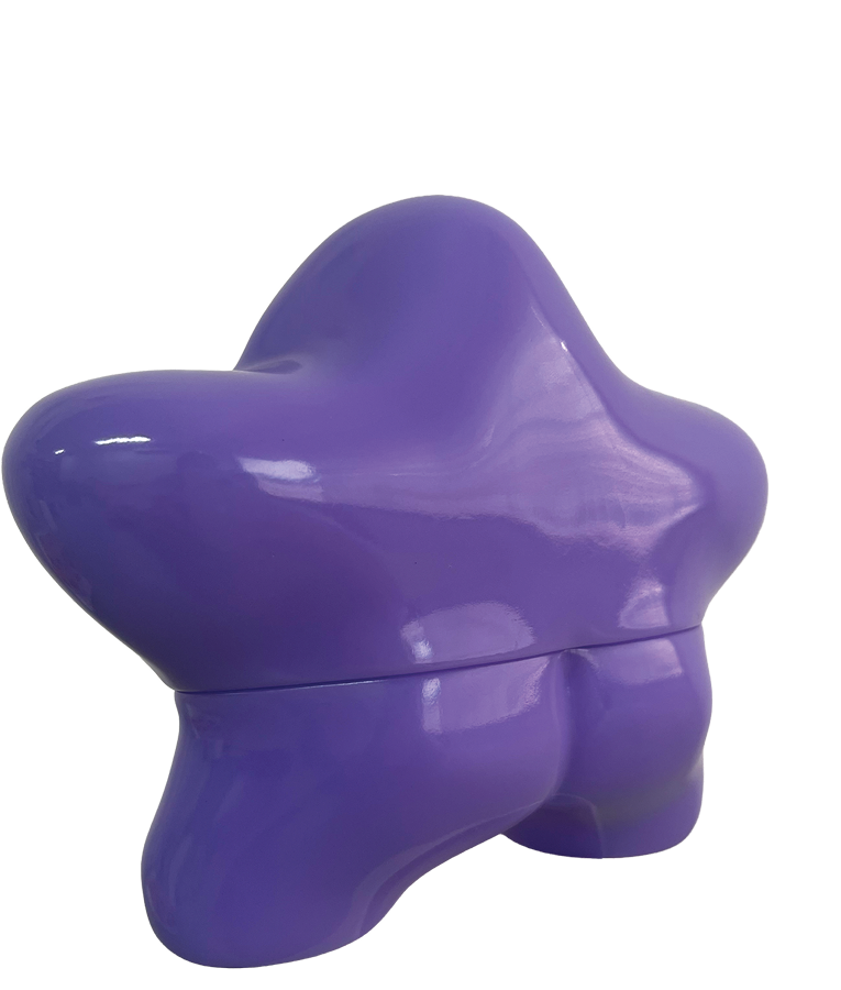Purple Seastar