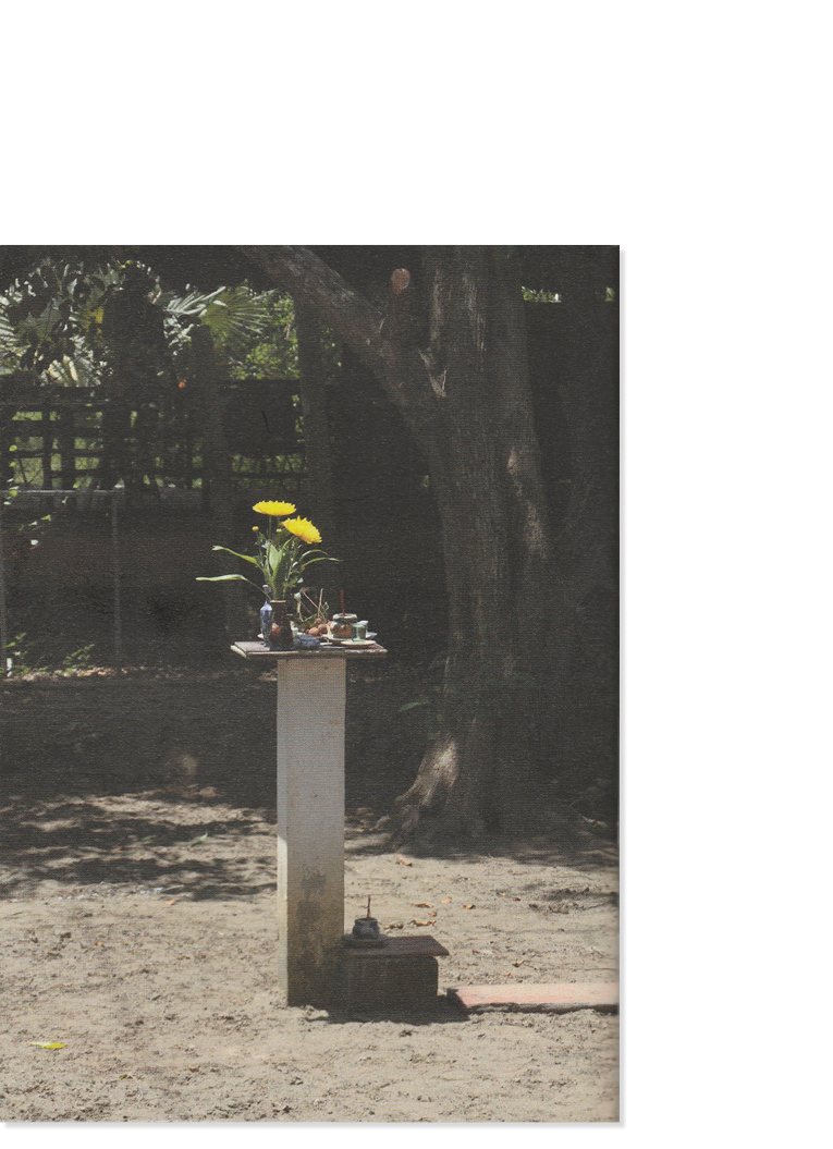 Tell Me Your Wish: Shrines of Southeast Asia